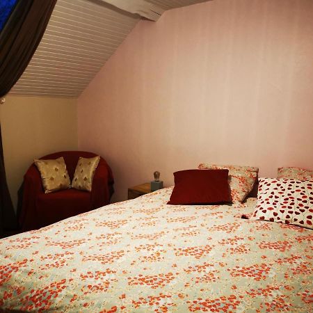 Domaine De L'Esperance, Chambre Rose Bed & Breakfast Bersaillin ภายนอก รูปภาพ
