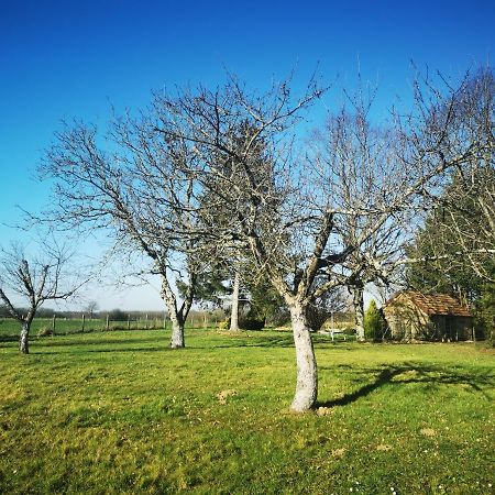 Domaine De L'Esperance, Chambre Rose Bed & Breakfast Bersaillin ภายนอก รูปภาพ