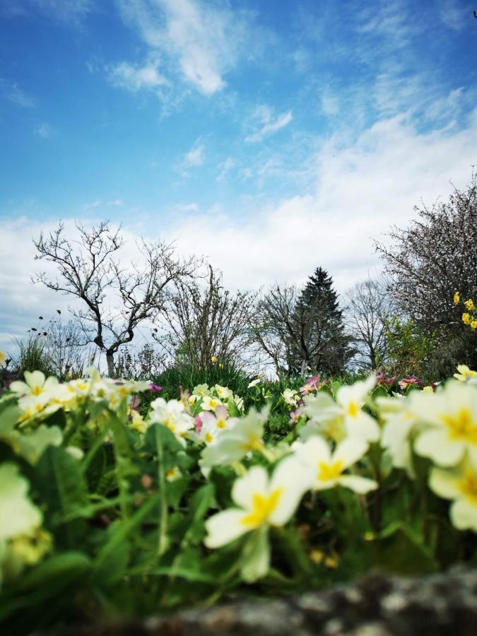Domaine De L'Esperance, Chambre Rose Bed & Breakfast Bersaillin ภายนอก รูปภาพ